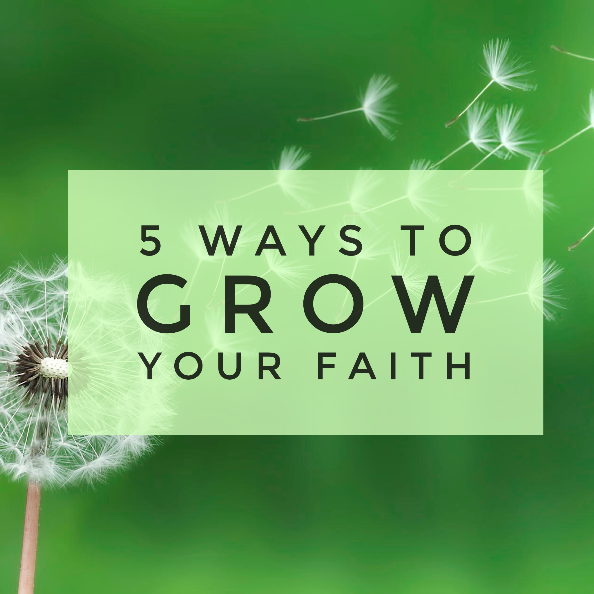 Faith grows when your roots grow into the soil of God's love