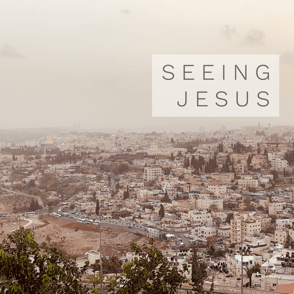 seeing Jesus Christ Son of the living God