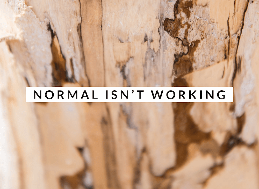 normal isn't working