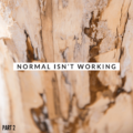 normal isn't working